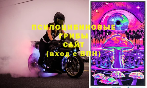 PSILOCYBIN Тихорецк
