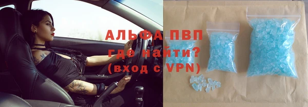 ПСИЛОЦИБИНОВЫЕ ГРИБЫ Балабаново
