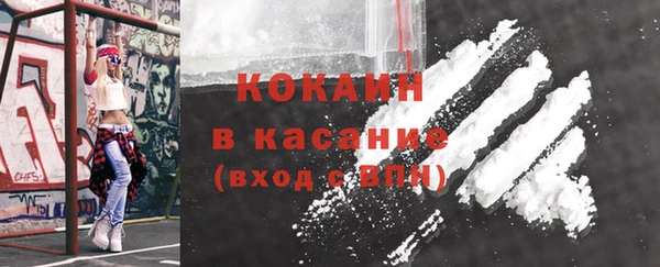 прущие грибы Тында
