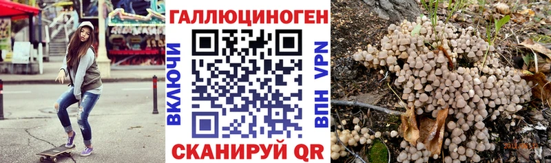 где продают наркотики  Балтийск  Псилоцибиновые грибы ЛСД 
