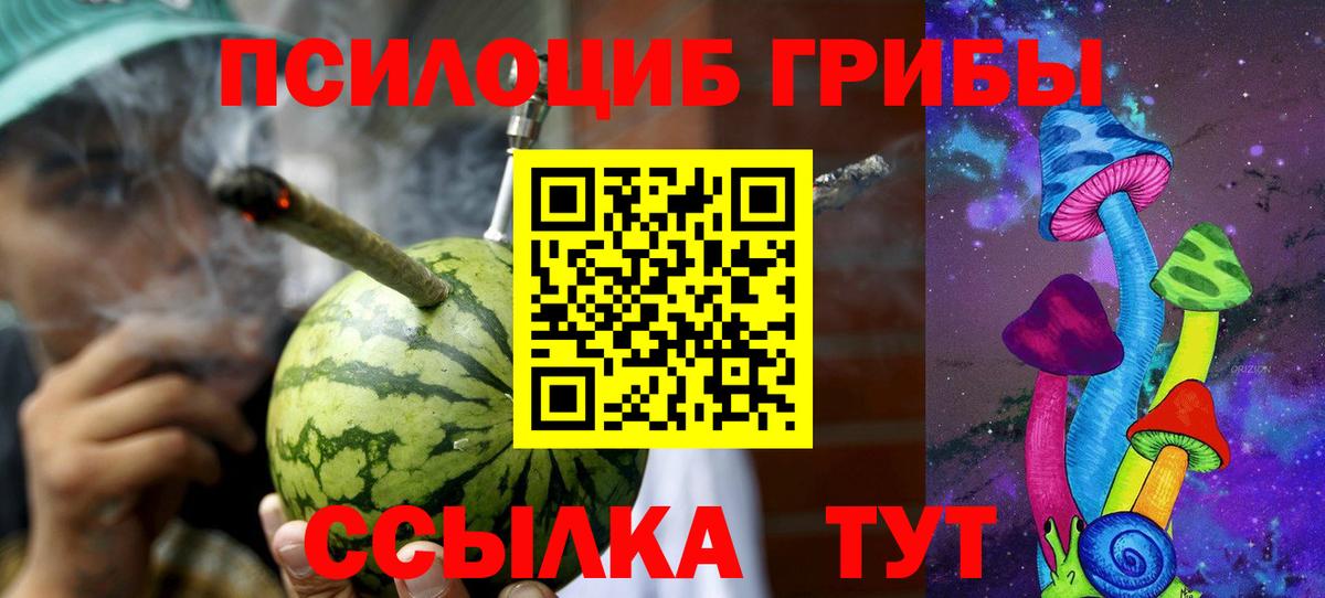 Балтийск  купить наркотики сайты  Галлюциногенные грибы Psilocybe  Вход с VPN  Псилоцибиновые грибы MAGIC MUSHROOMS 